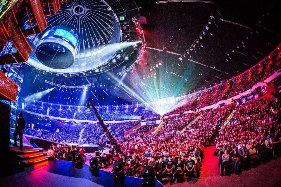 促的决策 促的决策