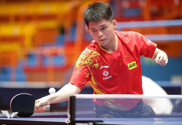 风险提示 风险提示